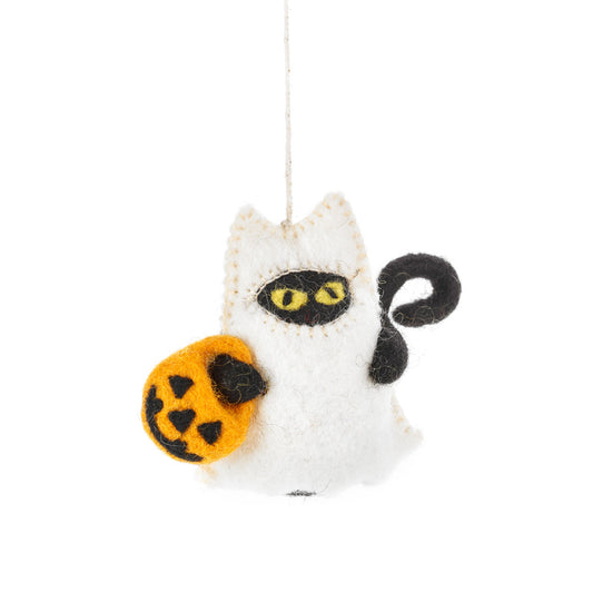 BOO! Cat
