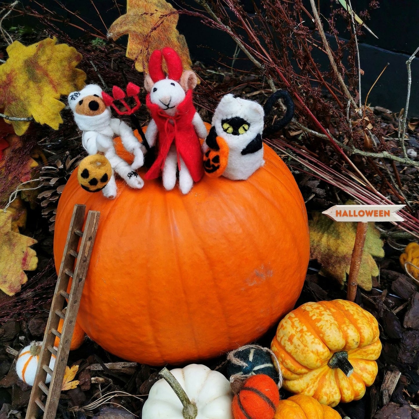 Foxy Mummy