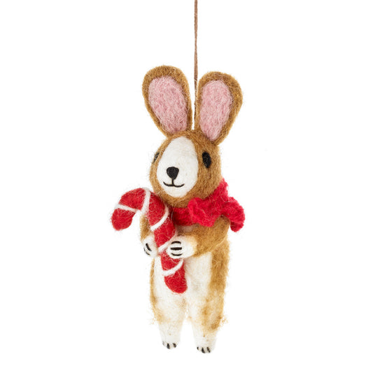 Cinnamon the Rabbit