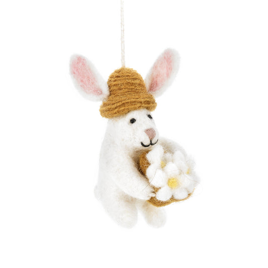 Darcy Bunny