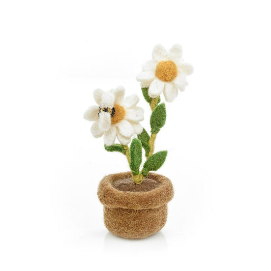 Dazy Daisy Pot