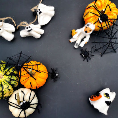 BOO! Cat
