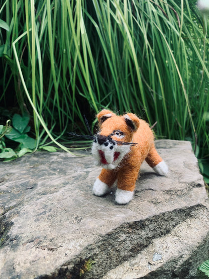 Hunter the Sabre Tooth Tiger