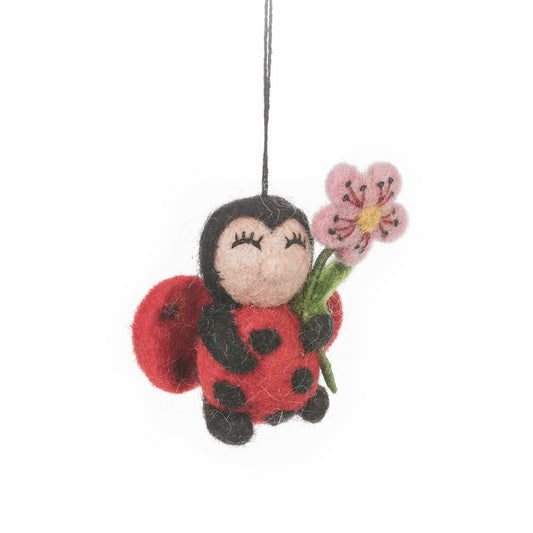 Lola Ladybird