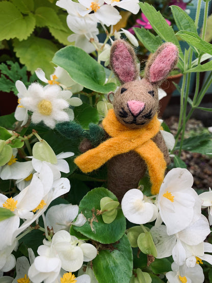 Marigold the Rabbit