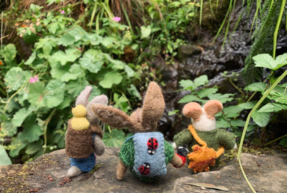 Bobby the Ladybird Hare