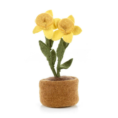 Springtime Daﬀodils