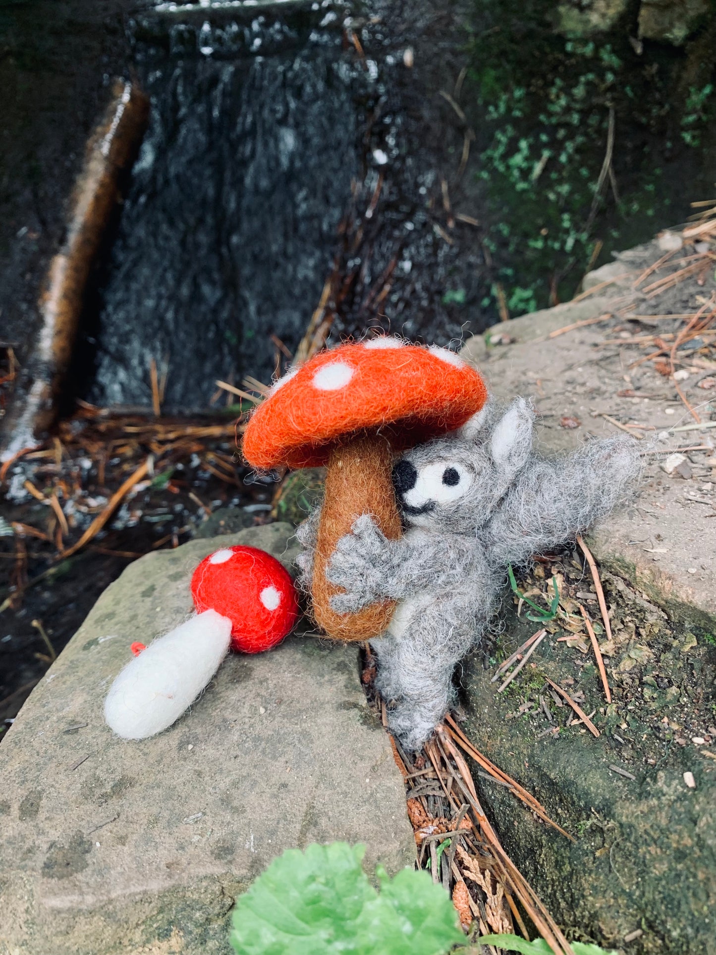 Toadstool Squirrel