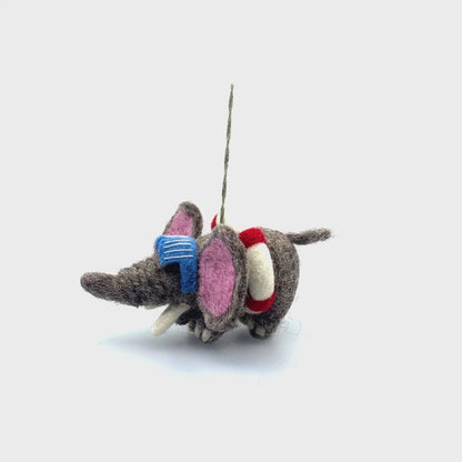 Diving Dumbo