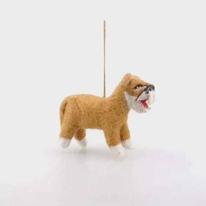 Hunter the Sabre Tooth Tiger